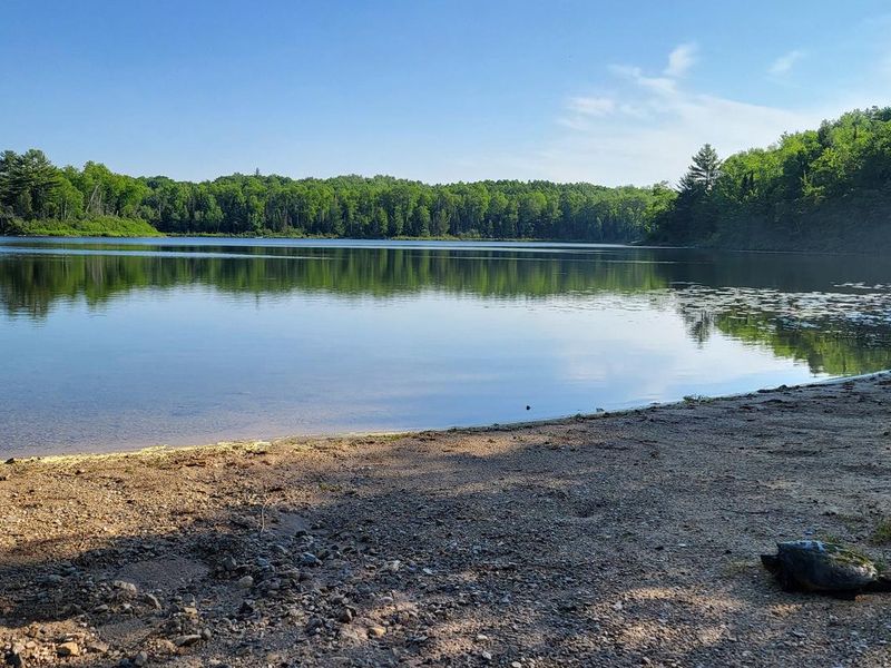 Spring View of Cookson Lake