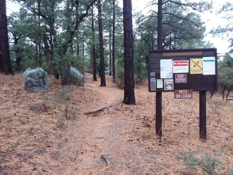Trail at Groom Creek.