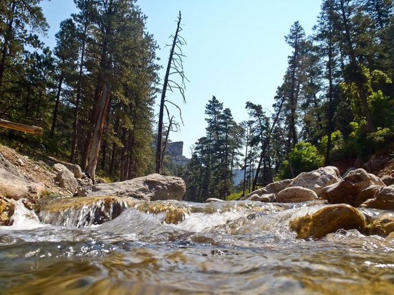 Beautiful stream flowing at the Black Canyon Campground
