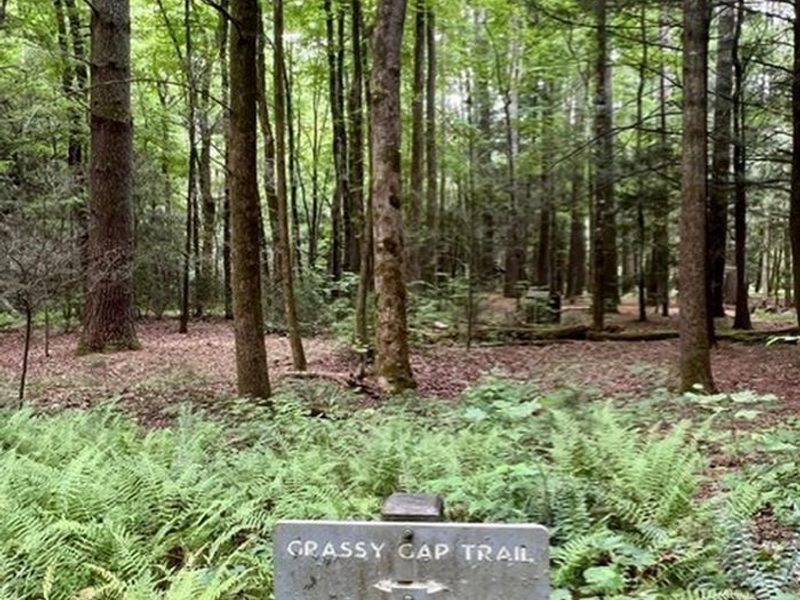 Grassy Gap Trail Near Basin Cove Backcountry Camping