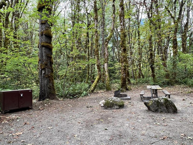Campsite in Goodell Creek Campground