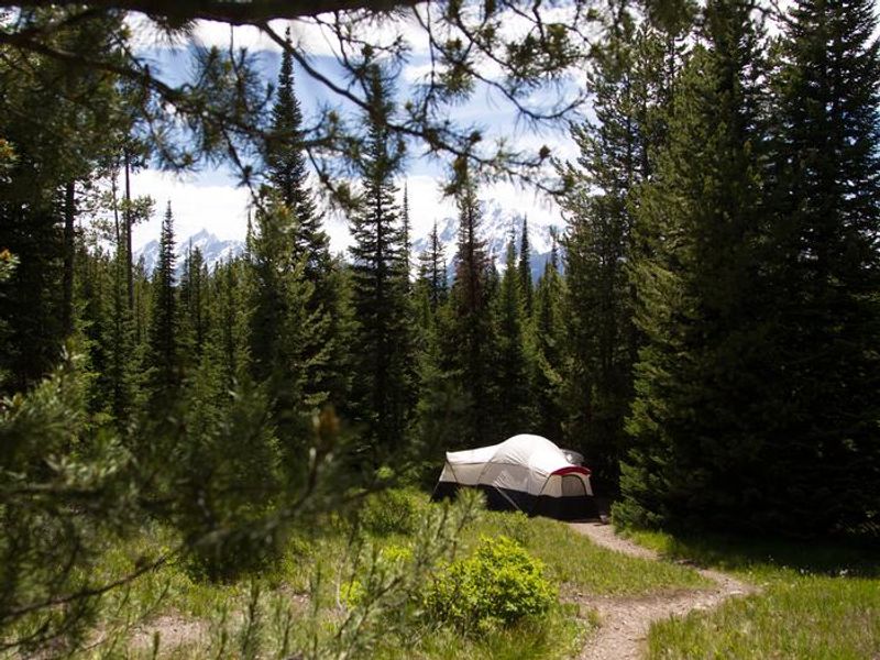 Think of Colter Bay Village as summer camp for the entire family. This lovely area is set on the shores of Jackson Lake, and offers practical amenities like laundry facilities, showers, restaurants and a grocery store, as well as purely-for-fun diversions like a  gift shop, visitor center, and horse corrals.