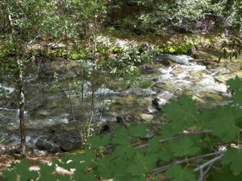 Creek the flows next to campground
