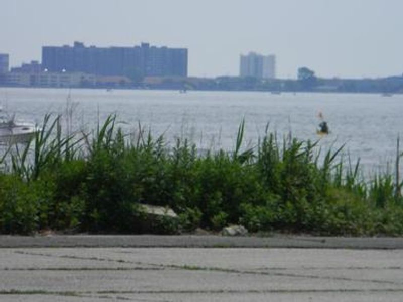 A view of the city across the water