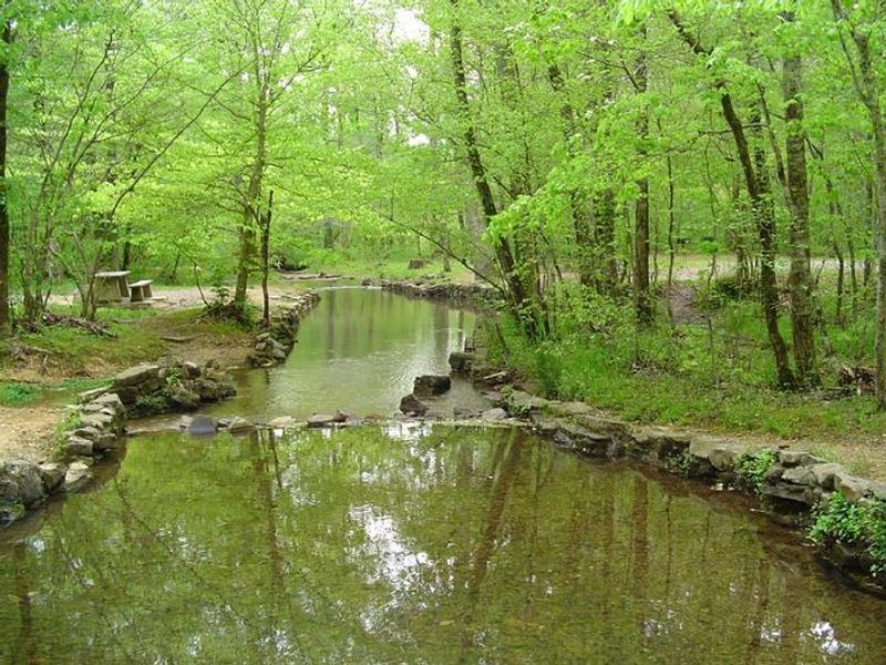 This is the stream that flows through the Pocket Recreation Area