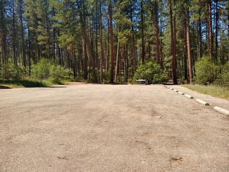 Grayback Group Site A parking lot.