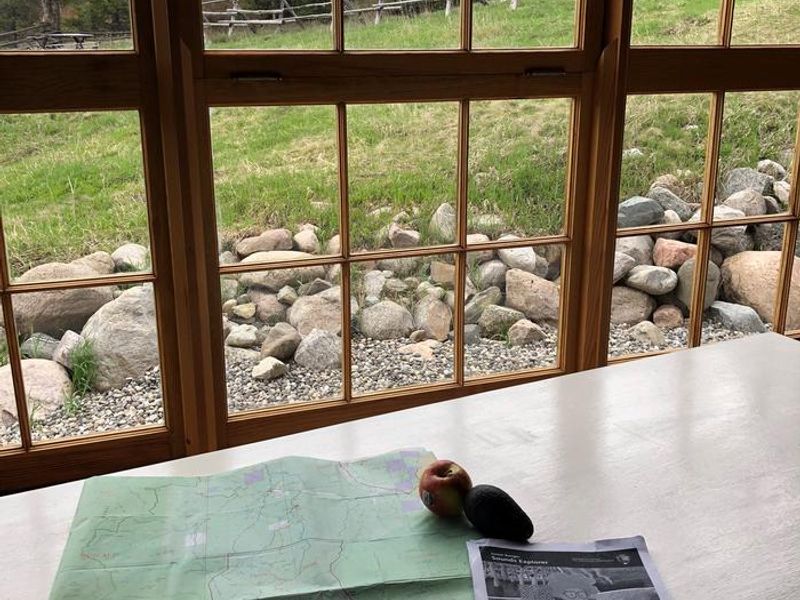 View of the outdoors from the kitchen table