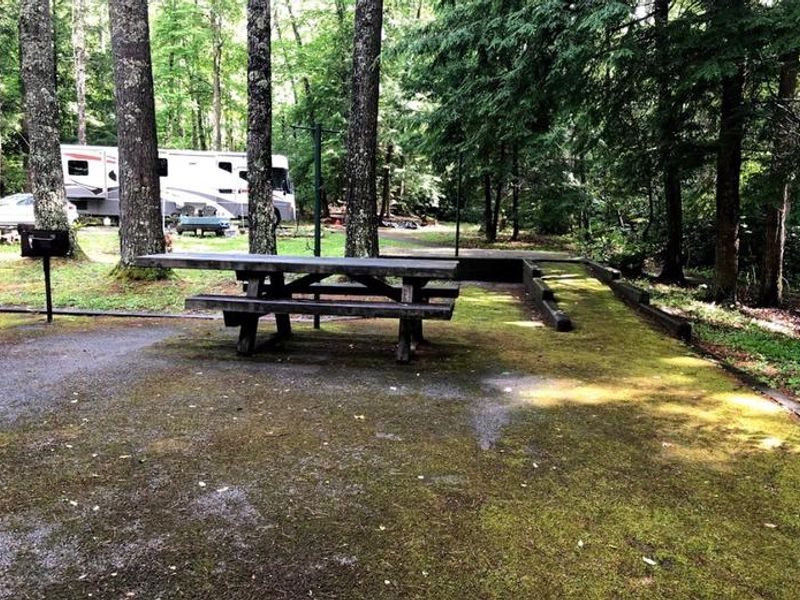 Campsite at Hurricane Campground 