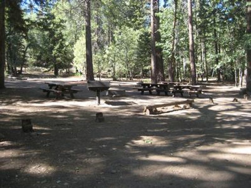 Shaded area at Buttercup Group Camp