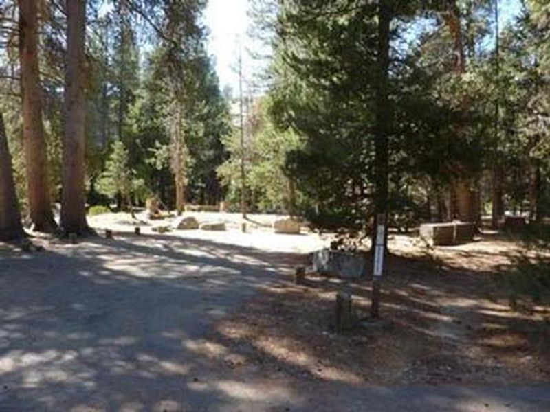 Jackass Meadow Campground