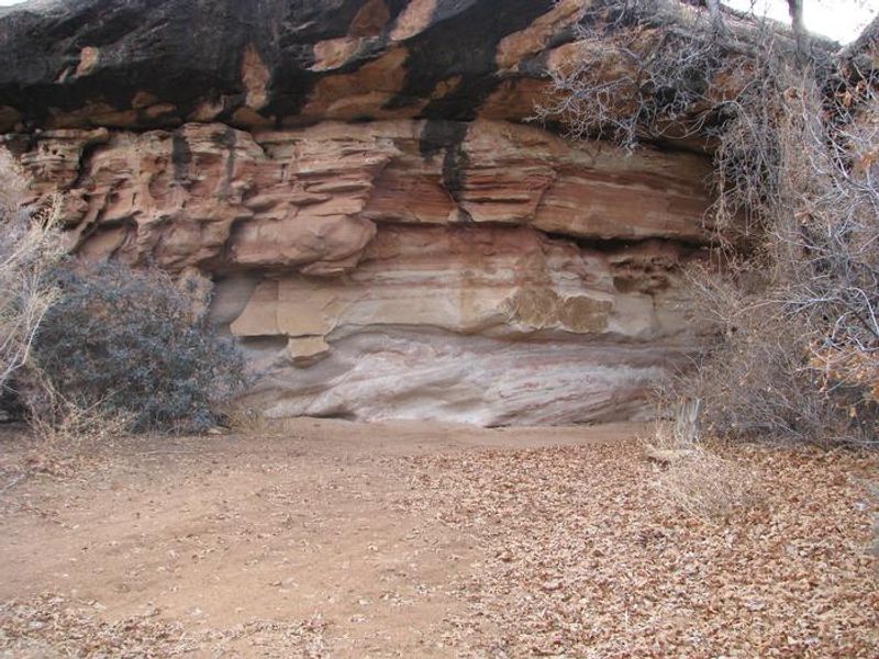 Tent space next to slickrock.