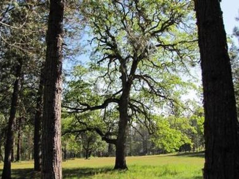 FLUMET FLAT GROUP CAMPGROUND