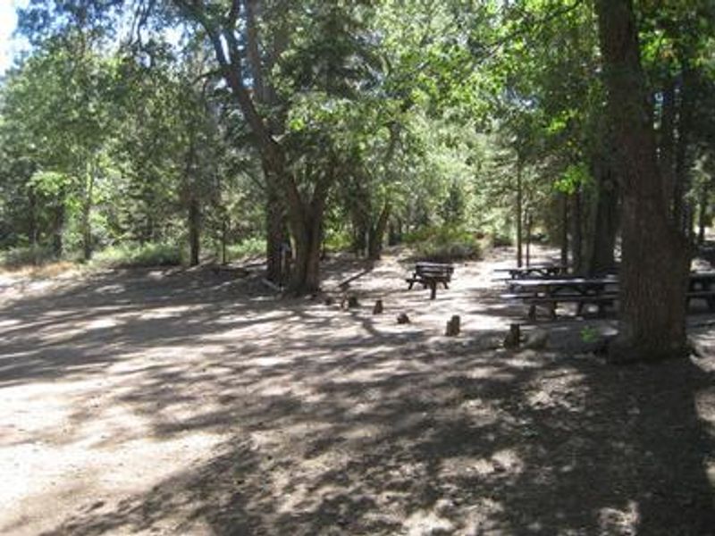 Shaded area at Buttercup Group Camp