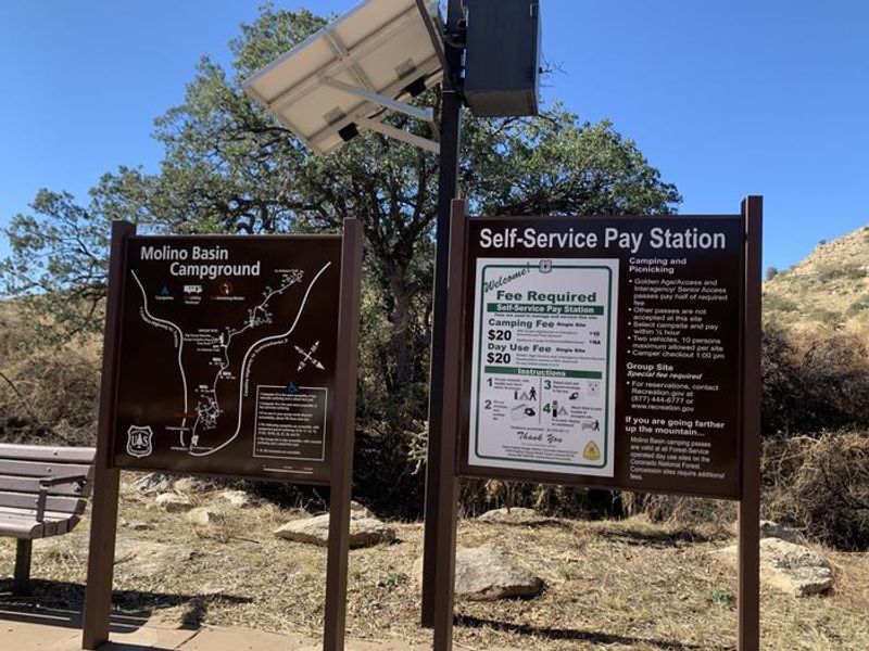 A map of the vast campground is at the pay station, just past the camp host pad. There is clear information for accessible campsites, RV sites, and more. 