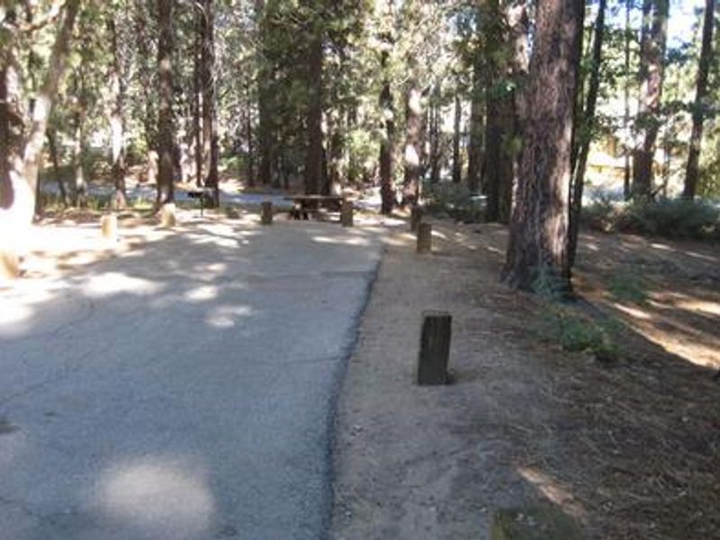 Empty Site at Pineknot Campground