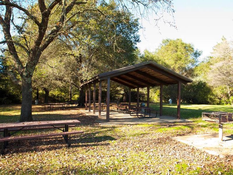Juniper Hill Group Picnic #3