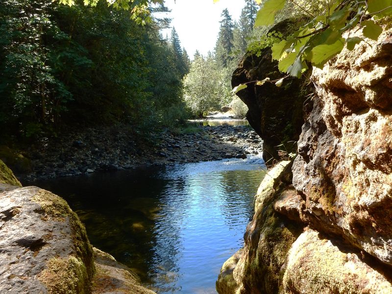 View of Sharps Creek