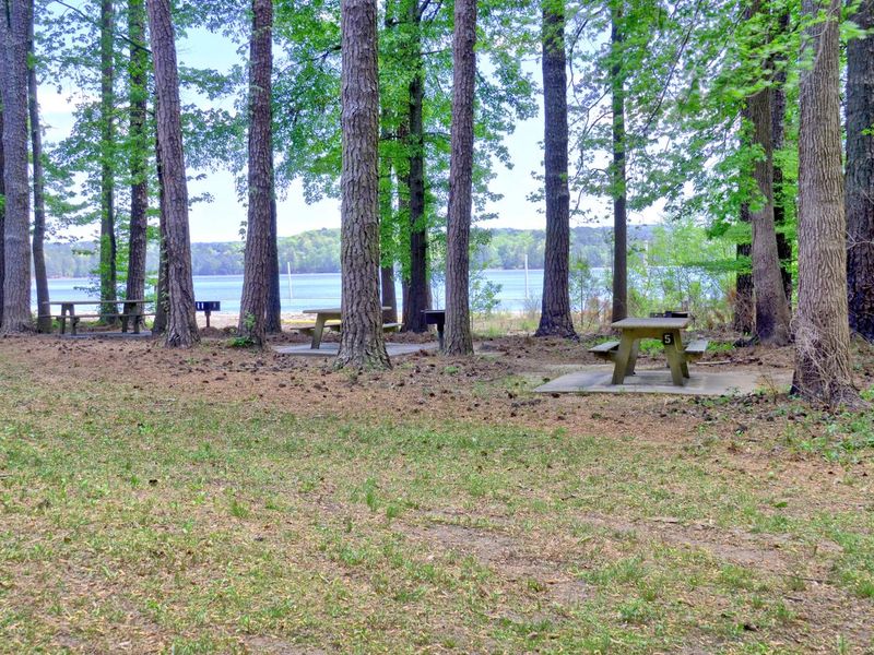 Sweetwater Day Use Picnic Area Near Beach