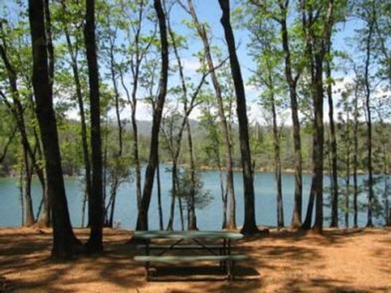 Dry Creek Group Campground with a view of the lake
