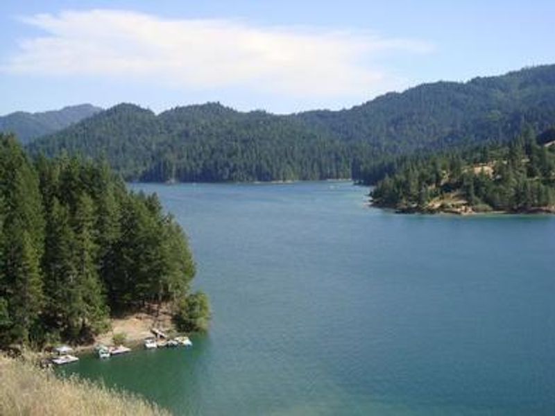 Fir Cove on the eastern shore of Ruth Lake.