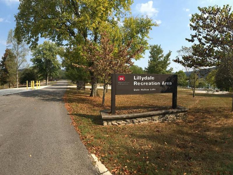 LILLYDALE CAMPGROUND 