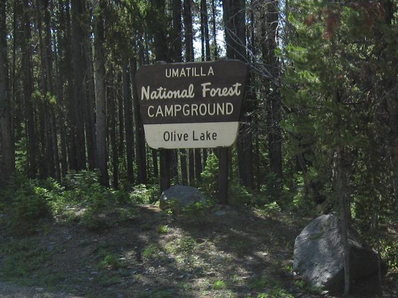 Olive Lake Campground