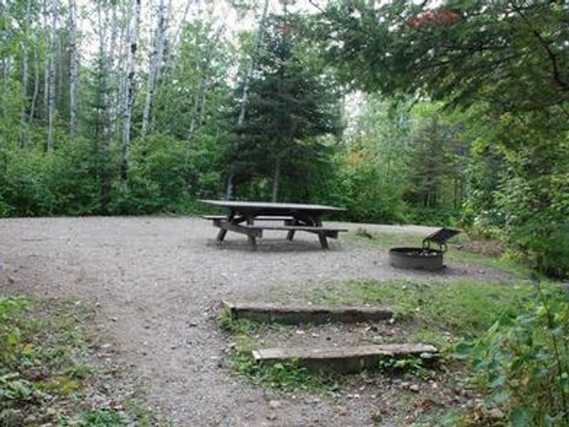 Typical campsite with table and fire ring.
