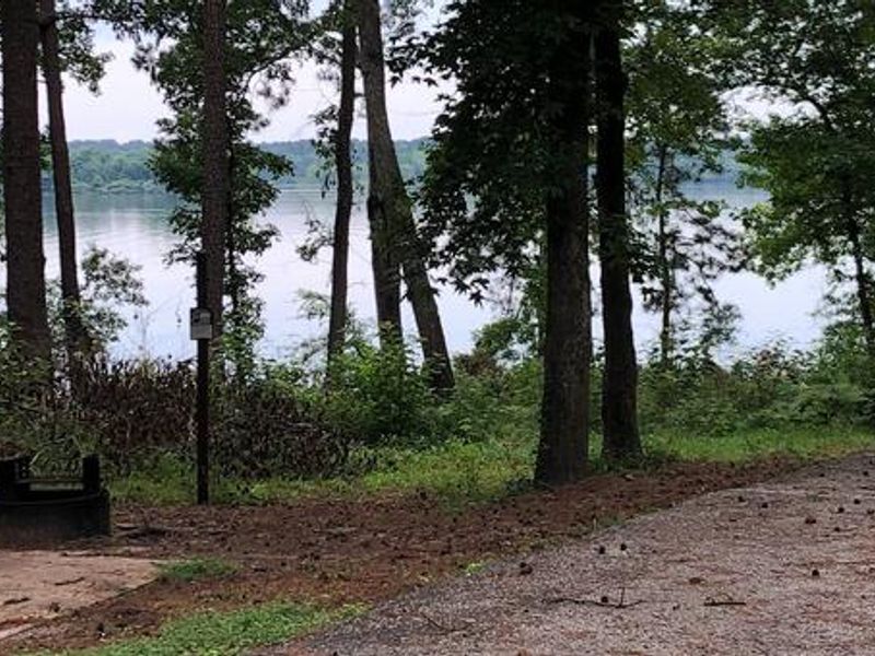 Beautiful Campsite near the water