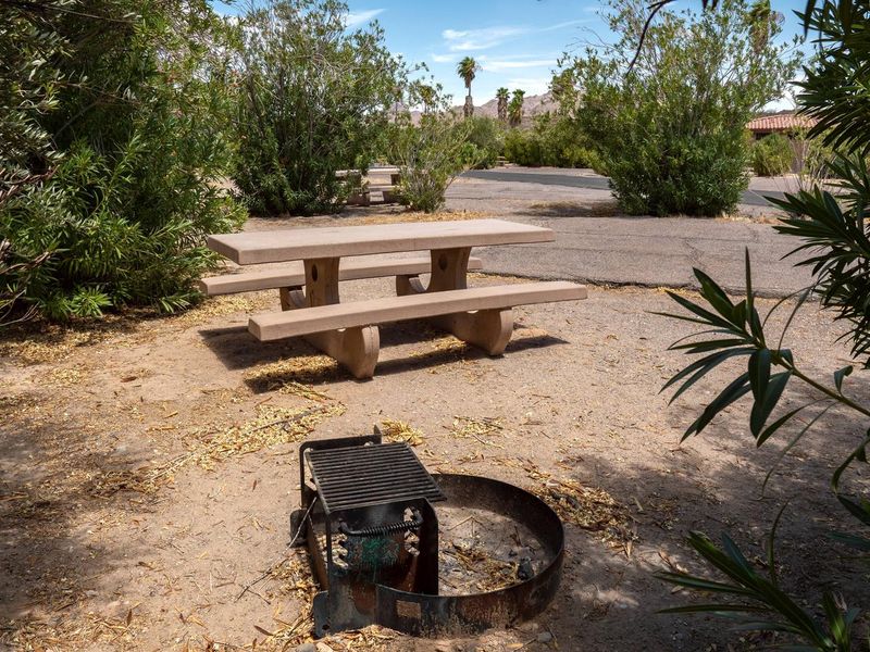 Callville Bay Campground