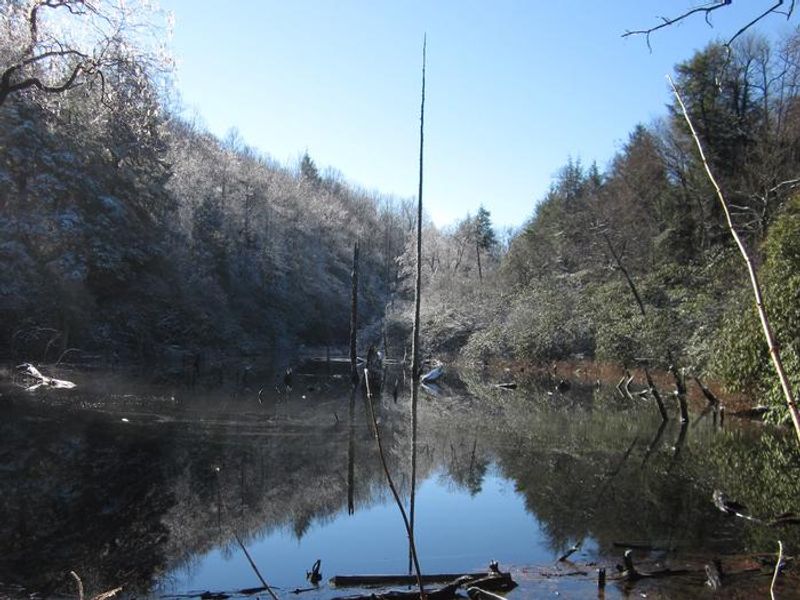 Songbrd Management Area