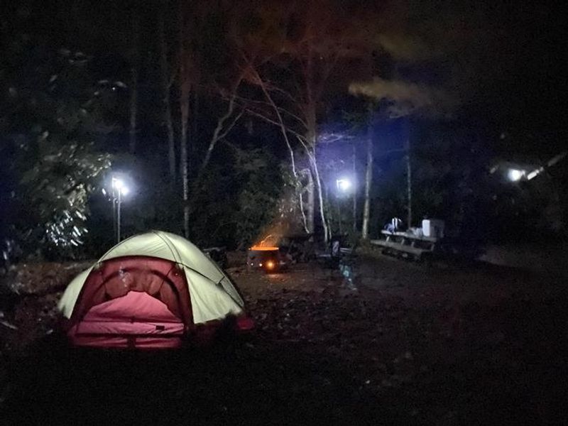 Camping Scene