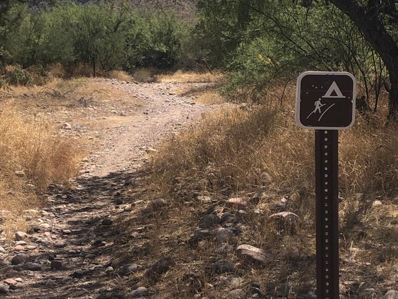 Larry Forbis Group Site- Tonto National Forest