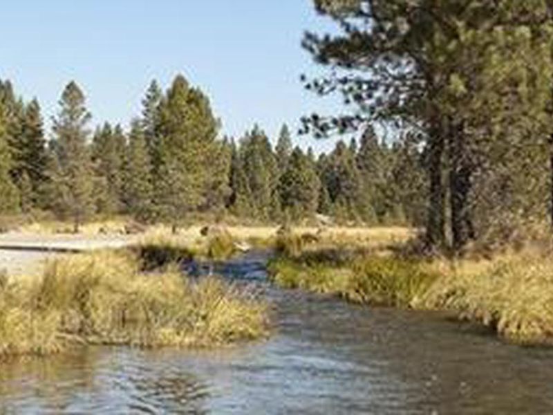 OGDEN GROUP CAMPGROUND