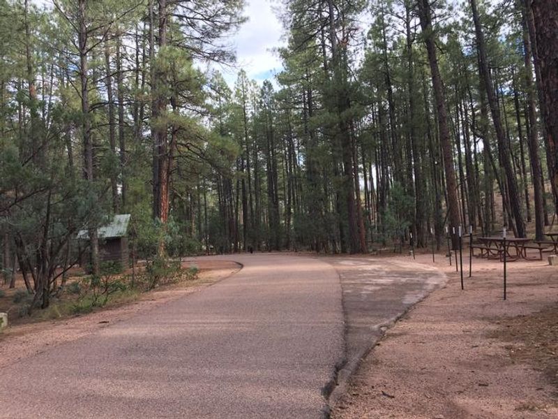 Ponderosa Campground
