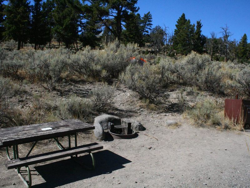 Mammoth Campsite #68