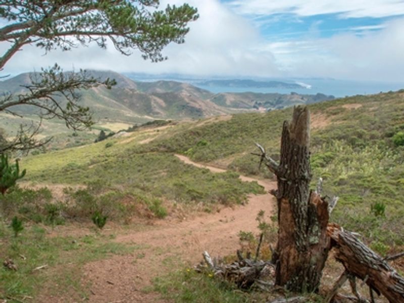 The winding path from Hawk Camp.