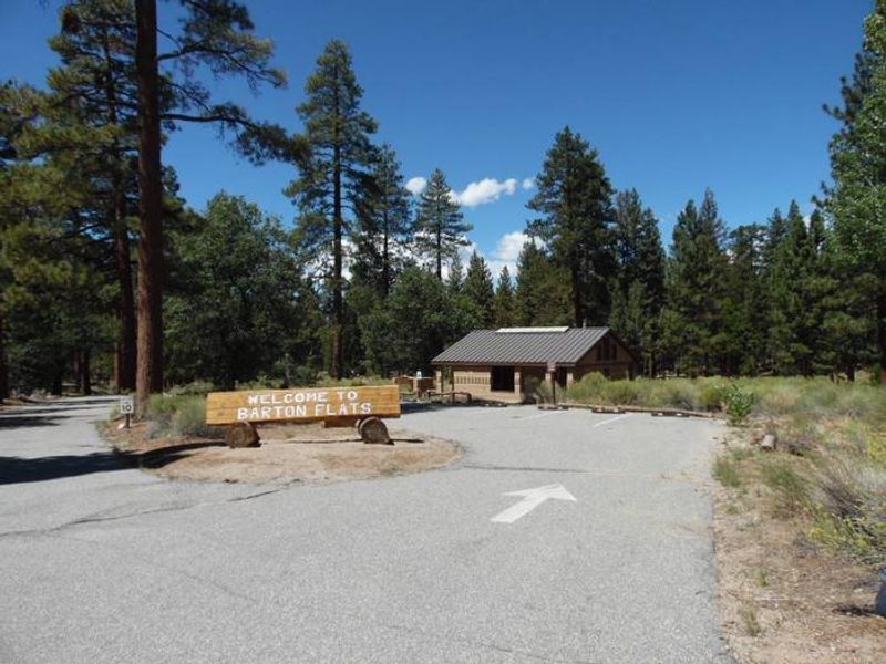 Main bathroom with showers