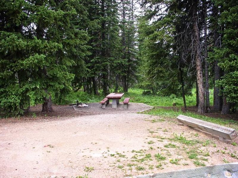 Bald Mountain Site 9