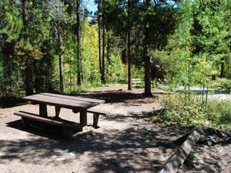 Campsite with picnic table surrounded by trees.