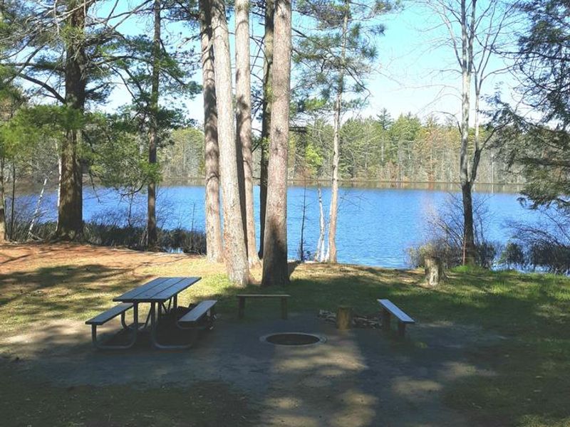 Fire Ring and Picnic Area