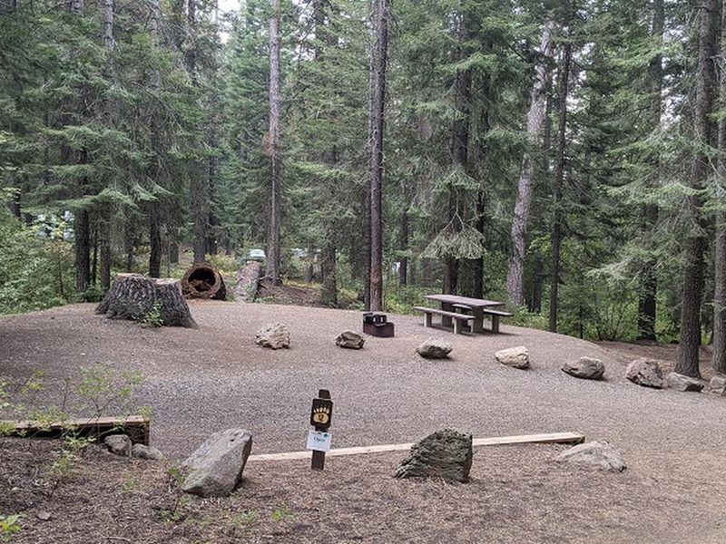Spring Creek Campground Site 12
