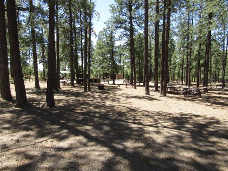 Ponderosa Group Campground sits among ponderosa pines which provide shade for group campers. Campsites can accommodate 10-50 campers each.