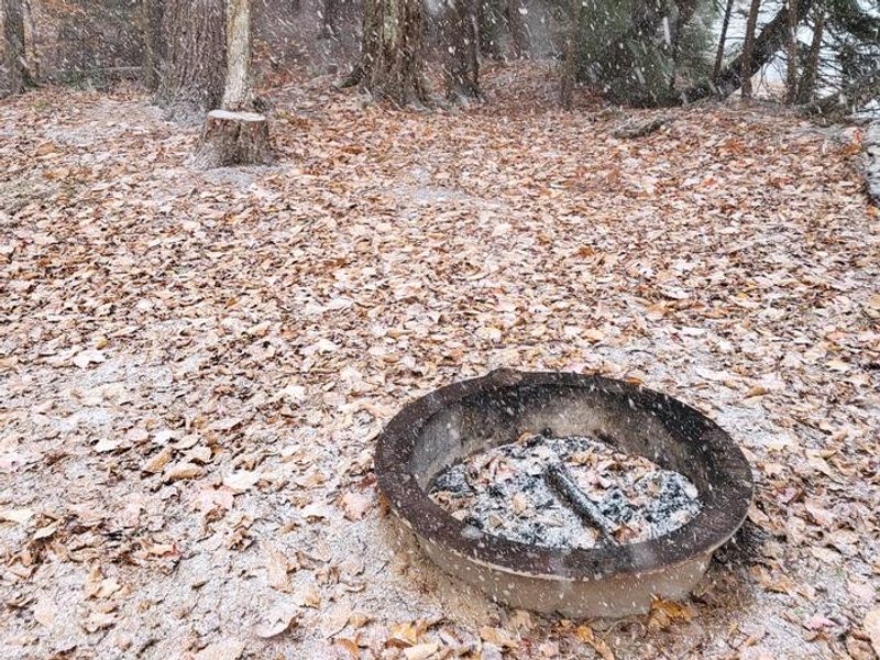 Bass Lake Campsite Fire Ring