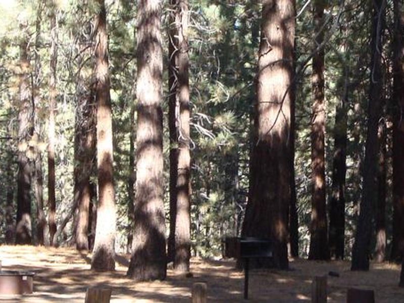 Pine Glen Campground