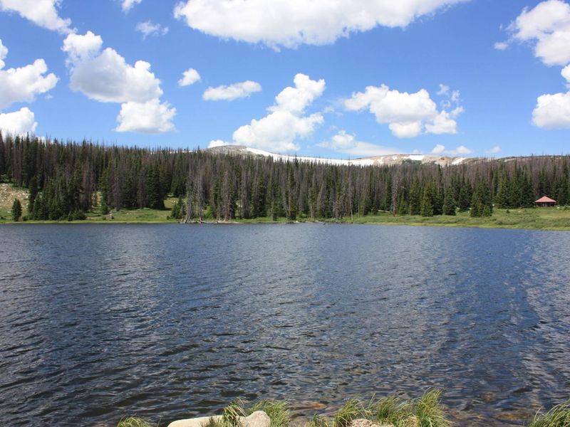 Little Brooklyn Lake Guard across Brooklyn Lake