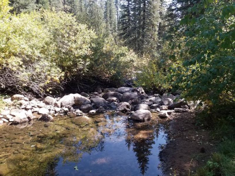  Rio de Las Vacas Creek.