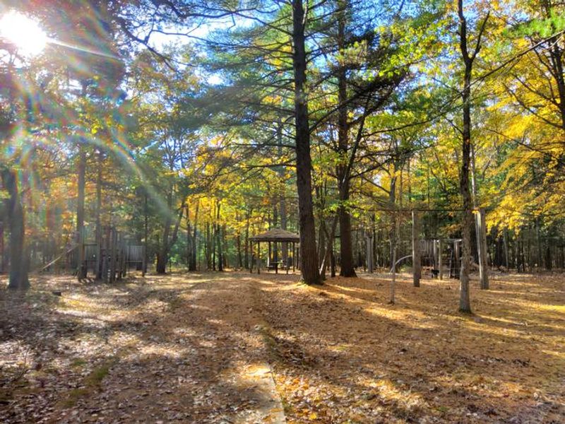 Lake Michigan Recreation Area 
