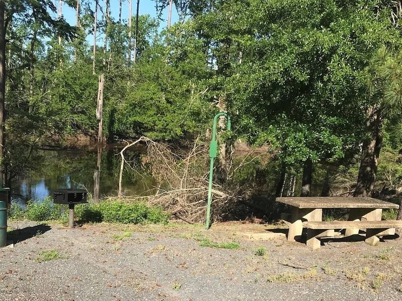 Campsite #3. Tent site with the following amenities: fire-pit, grill, picnic table, lantern pole, trash can. Located along bayou.