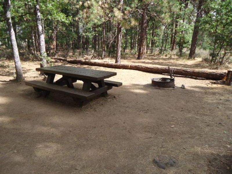 Rock Creek Mt Hood NF