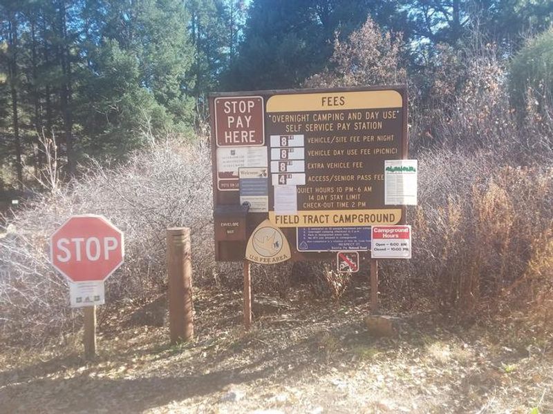 Information and Fee area